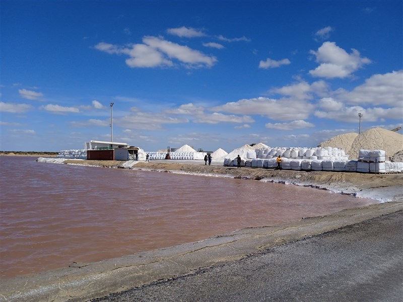 MedArtSal 2nd International Salt Fair Celebrating Sustainable Development of Artisanal Salinas in the Mediterranean